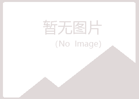 东山区以寒造纸有限公司